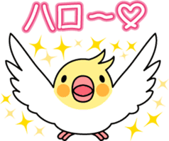 Cockatiel "Okameinko-chi" sticker #4671574