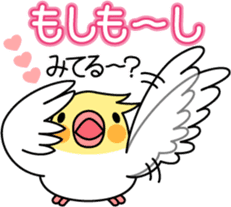 Cockatiel "Okameinko-chi" sticker #4671575