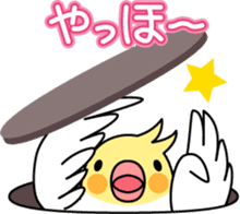 Cockatiel "Okameinko-chi" sticker #4671577
