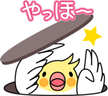 Cockatiel "Okameinko-chi" sticker #4671577