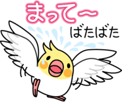 Cockatiel "Okameinko-chi" sticker #4671578
