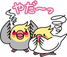 Cockatiel "Okameinko-chi" sticker #4671581