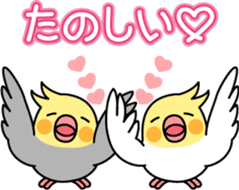 Cockatiel "Okameinko-chi" sticker #4671582