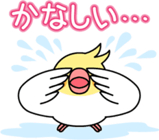Cockatiel "Okameinko-chi" sticker #4671584