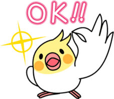 Cockatiel "Okameinko-chi" sticker #4671587