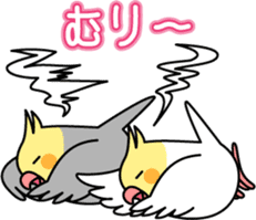 Cockatiel "Okameinko-chi" sticker #4671588