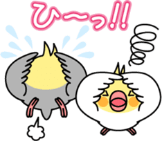 Cockatiel "Okameinko-chi" sticker #4671589