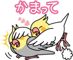 Cockatiel "Okameinko-chi" sticker #4671590
