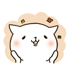 The cat which shows me