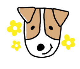 Jack Russell terrier  sticker sticker #4672792