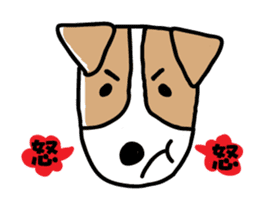 Jack Russell terrier  sticker sticker #4672794