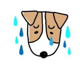 Jack Russell terrier  sticker sticker #4672795