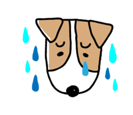 Jack Russell terrier sticker sticker #4672795