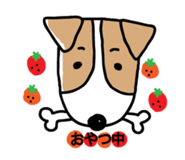 Jack Russell terrier sticker sticker #4672796