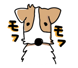 Jack Russell terrier sticker sticker #4672799