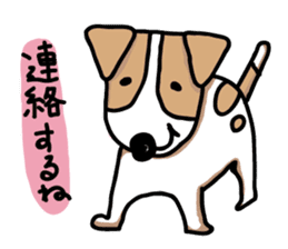 Jack Russell terrier  sticker sticker #4672805