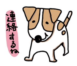 Jack Russell terrier sticker sticker #4672805