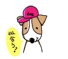 Jack Russell terrier  sticker sticker #4672810