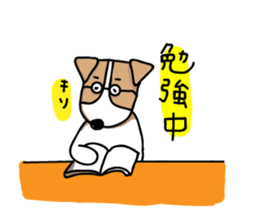 Jack Russell terrier  sticker sticker #4672823