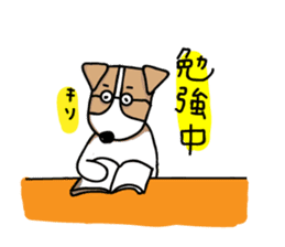 Jack Russell terrier sticker sticker #4672823