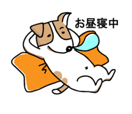 Jack Russell terrier sticker sticker #4672824