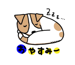 Jack Russell terrier sticker sticker #4672827