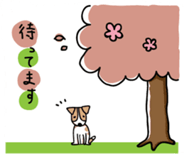 Jack Russell terrier sticker sticker #4672829