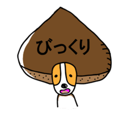 Jack Russell terrier sticker sticker #4672830