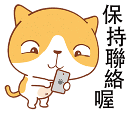 Funny Kitty sticker #4674493