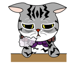 Opba and  leo -cat- sticker #4679520