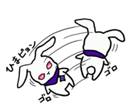Ninja rabbit "NINPYON" sticker #4681031