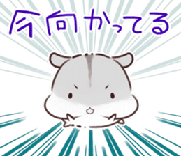 Appointment HAMHAM sticker #4681498