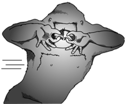 RARIGO of a gorilla3 sticker #4684888