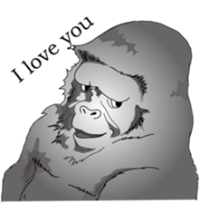 RARIGO of a gorilla3 sticker #4684893