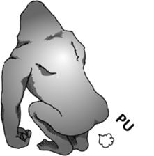 RARIGO of a gorilla3 sticker #4684923