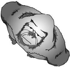 RARIGO of a gorilla3 sticker #4684926