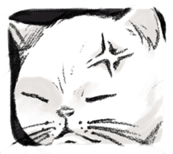 MUKANEKO-Angry Cat- sticker #4685443