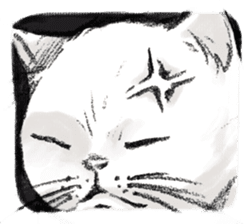 MUKANEKO-Angry Cat- sticker #4685443
