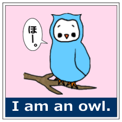 I am an owl.