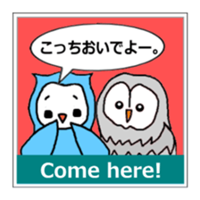 I am an owl. sticker #4687146