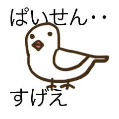 Java sparrow is showy and superficial.