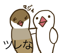 Java sparrow is showy and superficial. sticker #4693222