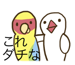 Java sparrow is showy and superficial. sticker #4693223