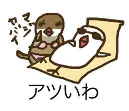 Java sparrow is showy and superficial. sticker #4693241