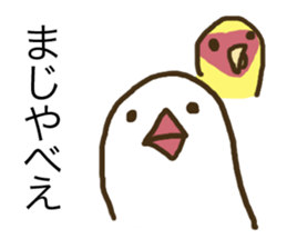 Java sparrow is showy and superficial. sticker #4693243