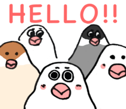 Daifuku Buncho(Daifuku Java sparrow) sticker #4694574