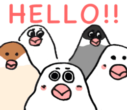 Daifuku Buncho(Daifuku Java sparrow) sticker #4694574
