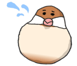 Daifuku Buncho(Daifuku Java sparrow) sticker #4694593