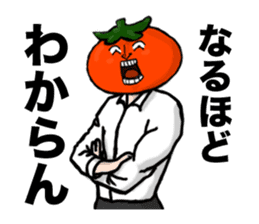 The splendid tomato sticker #4696692