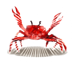 SENGOKU TAISEN sticker #4696755